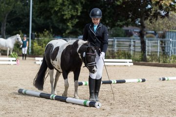 Bild 5 - Pony Akademie Turnier